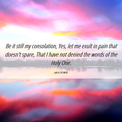 Picture 06 - Job 6:10 WEB - Be it still my consolation, Yes, let me exult in - Bible Verse Picture