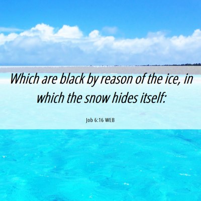Picture 06 - Job 6:16 WEB - Which are black by reason of the ice, in which - Bible Verse Picture