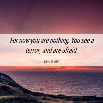Picture 06 - Job 6:21 WEB - For now you are nothing. You see a terror, and - Bible Verse Picture