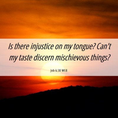 Picture 06 - Job 6:30 WEB - Is there injustice on my tongue? Can't my taste - Bible Verse Picture