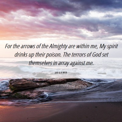 Picture 06 - Job 6:4 WEB - For the arrows of the Almighty are within me, My - Bible Verse Picture