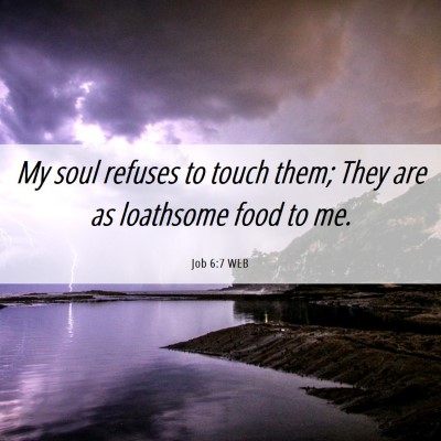 Picture 06 - Job 6:7 WEB - My soul refuses to touch them; They are as - Bible Verse Picture