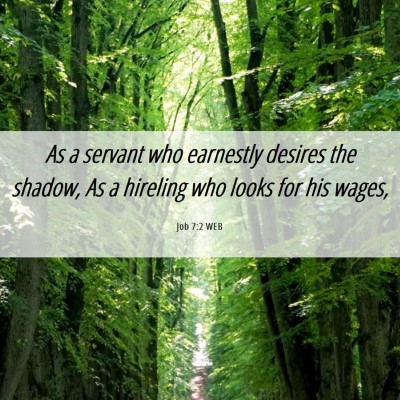 Picture 06 - Job 7:2 WEB - As a servant who earnestly desires the shadow, As - Bible Verse Picture