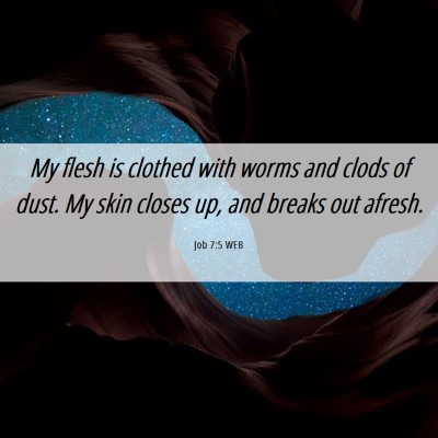 Picture 06 - Job 7:5 WEB - My flesh is clothed with worms and clods of dust. - Bible Verse Picture