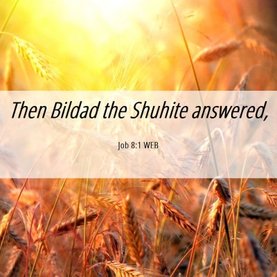 Picture 06 - Job 8:1 WEB - Then Bildad the Shuhite - Bible Verse Picture