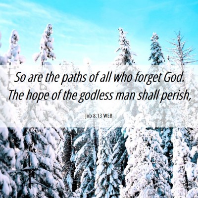 Picture 06 - Job 8:13 WEB - So are the paths of all who forget God. The hope - Bible Verse Picture