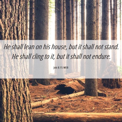 Picture 06 - Job 8:15 WEB - He shall lean on his house, but it shall not - Bible Verse Picture