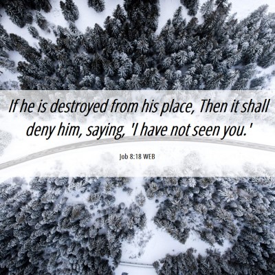 Picture 06 - Job 8:18 WEB - If he is destroyed from his place, Then it shall - Bible Verse Picture
