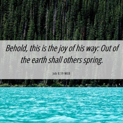 Picture 06 - Job 8:19 WEB - Behold, this is the joy of his way: Out of the - Bible Verse Picture