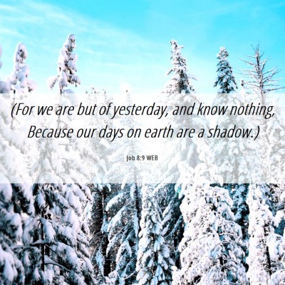 Picture 06 - Job 8:9 WEB - (For we are but of yesterday, and know nothing, - Bible Verse Picture