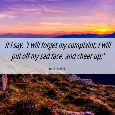 Picture 06 - Job 9:27 WEB - If I say, 'I will forget my complaint, I will put - Bible Verse Picture