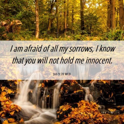 Picture 06 - Job 9:28 WEB - I am afraid of all my sorrows, I know that you - Bible Verse Picture