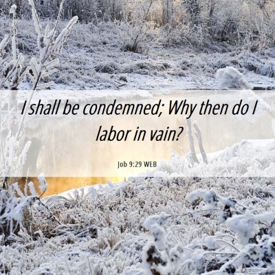 Picture 06 - Job 9:29 WEB - I shall be condemned; Why then do I labor in - Bible Verse Picture
