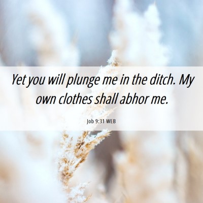 Picture 06 - Job 9:31 WEB - Yet you will plunge me in the ditch. My own - Bible Verse Picture