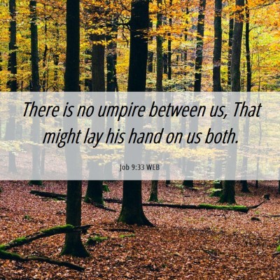 Picture 06 - Job 9:33 WEB - There is no umpire between us, That might lay his - Bible Verse Picture