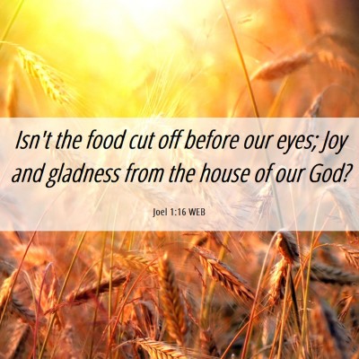 Picture 06 - Joel 1:16 WEB - Isn't the food cut off before our eyes; Joy and - Bible Verse Picture