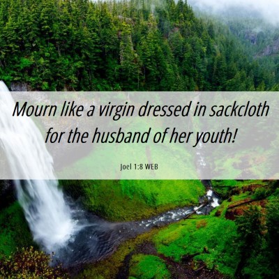 Picture 06 - Joel 1:8 WEB - Mourn like a virgin dressed in sackcloth for the - Bible Verse Picture