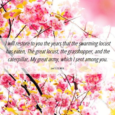 Picture 06 - Joel 2:25 WEB - I will restore to you the years that the swarming - Bible Verse Picture