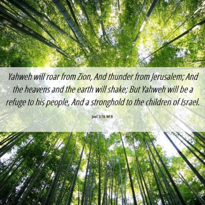 Picture 06 - Joel 3:16 WEB - Yahweh will roar from Zion, And thunder from - Bible Verse Picture