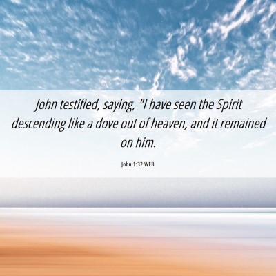 Picture 06 - John 1:32 WEB - John testified, saying, 