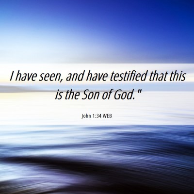 Picture 06 - John 1:34 WEB - I have seen, and have testified that this is the - Bible Verse Picture