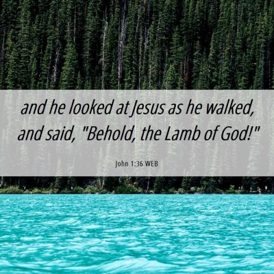 Picture 06 - John 1:36 WEB - and he looked at Jesus as he walked, and said, - Bible Verse Picture