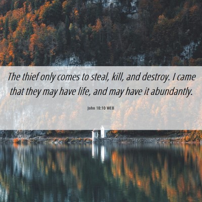 Picture 06 - John 10:10 WEB - The thief only comes to steal, kill, and destroy. - Bible Verse Picture