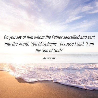 Picture 06 - John 10:36 WEB - Do you say of him whom the Father sanctified and - Bible Verse Picture