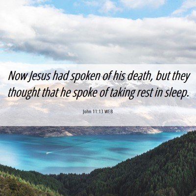 Picture 06 - John 11:13 WEB - Now Jesus had spoken of his death, but they - Bible Verse Picture