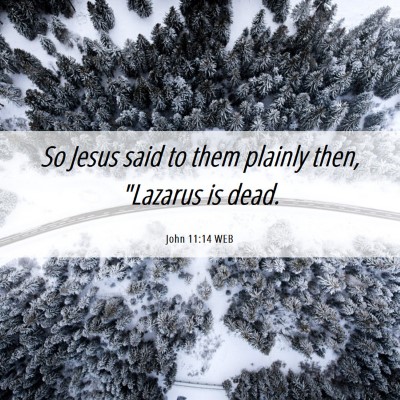 Picture 06 - John 11:14 WEB - So Jesus said to them plainly then, 