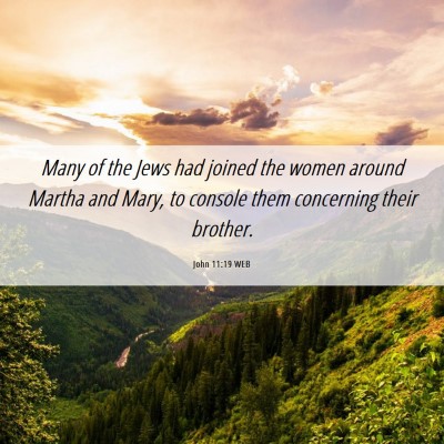 Picture 06 - John 11:19 WEB - Many of the Jews had joined the women around - Bible Verse Picture
