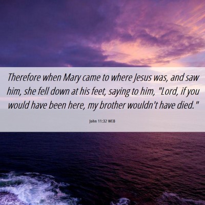Picture 06 - John 11:32 WEB - Therefore when Mary came to where Jesus was, and - Bible Verse Picture