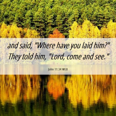 Picture 06 - John 11:34 WEB - and said, 