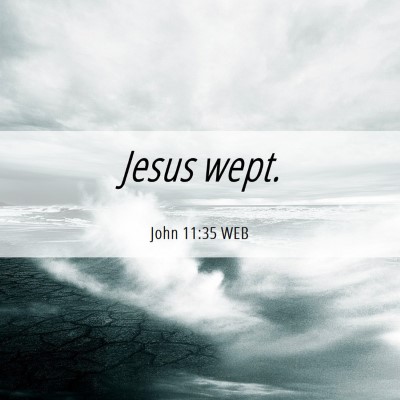 Picture 06 - John 11:35 WEB - Jesus - Bible Verse Picture