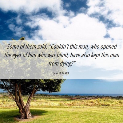 Picture 06 - John 11:37 WEB - Some of them said, 