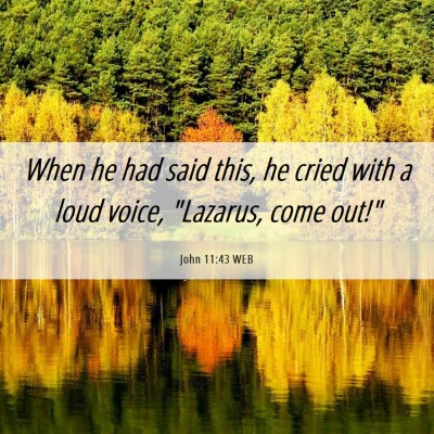 Picture 06 - John 11:43 WEB - When he had said this, he cried with a loud - Bible Verse Picture