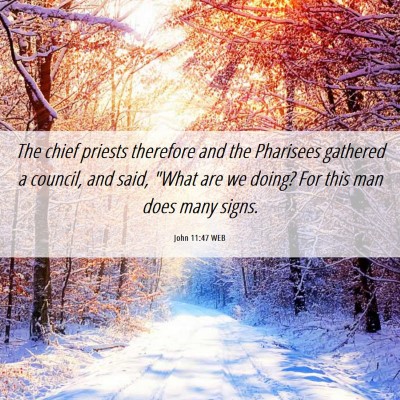 Picture 06 - John 11:47 WEB - The chief priests therefore and the Pharisees - Bible Verse Picture