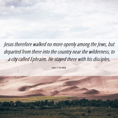 Picture 06 - John 11:54 WEB - Jesus therefore walked no more openly among the - Bible Verse Picture