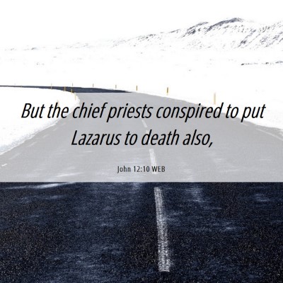 Picture 06 - John 12:10 WEB - But the chief priests conspired to put Lazarus to - Bible Verse Picture