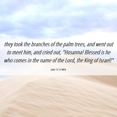 Picture 06 - John 12:13 WEB - they took the branches of the palm trees, and - Bible Verse Picture
