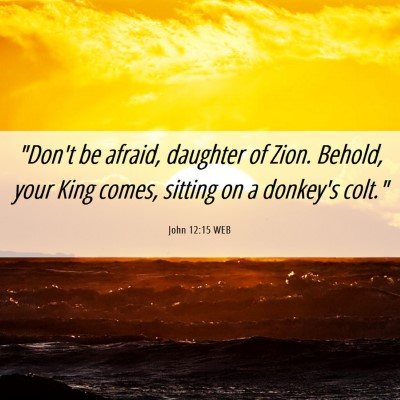 Picture 06 - John 12:15 WEB - 