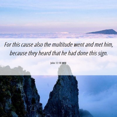 Picture 06 - John 12:18 WEB - For this cause also the multitude went and met - Bible Verse Picture