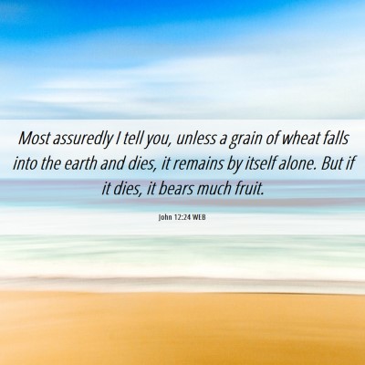 Picture 06 - John 12:24 WEB - Most assuredly I tell you, unless a grain of - Bible Verse Picture
