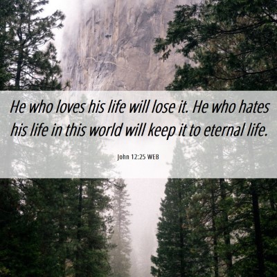 Picture 06 - John 12:25 WEB - He who loves his life will lose it. He who hates - Bible Verse Picture