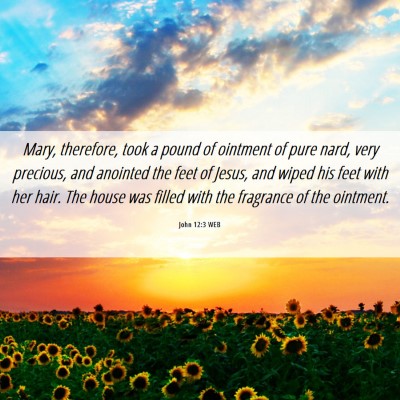 Picture 06 - John 12:3 WEB - Mary, therefore, took a pound of ointment of pure - Bible Verse Picture