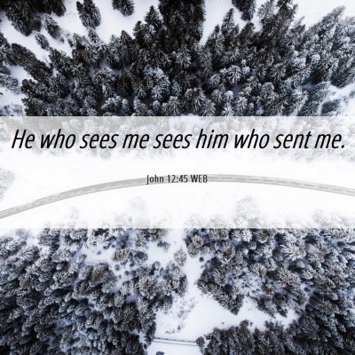 Picture 06 - John 12:45 WEB - He who sees me sees him who sent - Bible Verse Picture