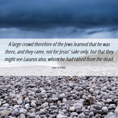 Picture 06 - John 12:9 WEB - A large crowd therefore of the Jews learned that - Bible Verse Picture