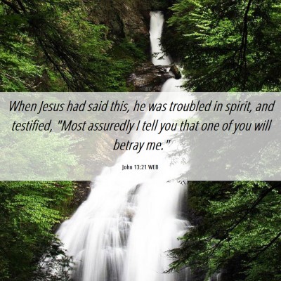 Picture 06 - John 13:21 WEB - When Jesus had said this, he was troubled in - Bible Verse Picture