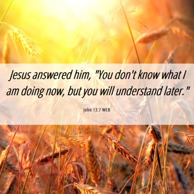 Picture 06 - John 13:7 WEB - Jesus answered him, 