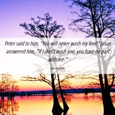 Picture 06 - John 13:8 WEB - Peter said to him, 